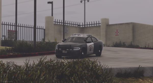*NEW* SAHP 2023 Dodge Charger