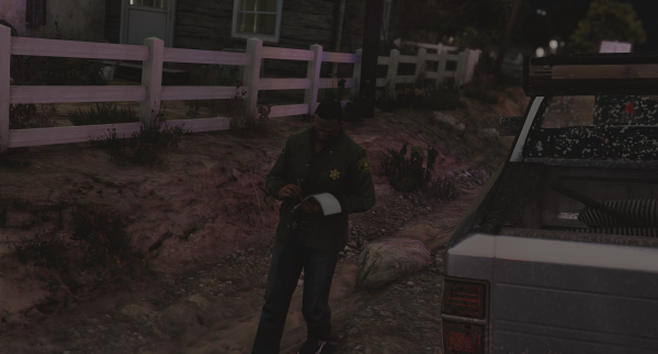 Detective On Scene II