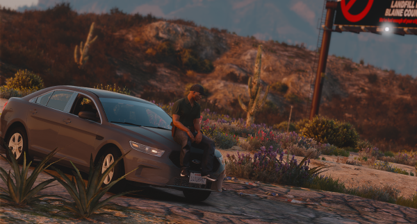 Ford Taurus Unmarked I