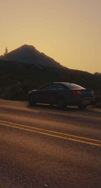 Ford Taurus Unmarked III