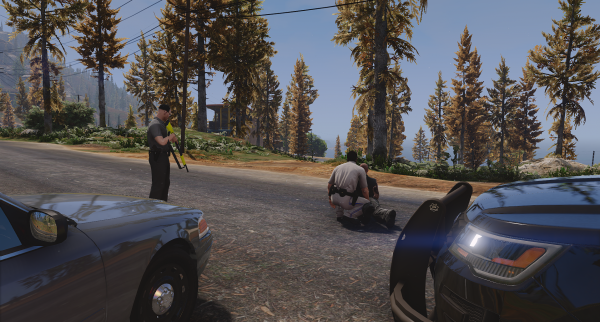 RHD Detective On Scene II