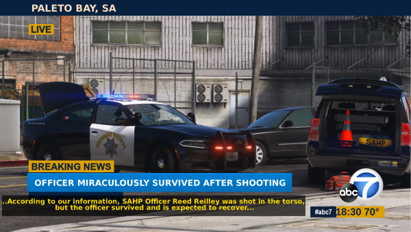 "...is expected to recover.."