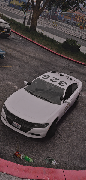 SAHP 2023 PCF Charger