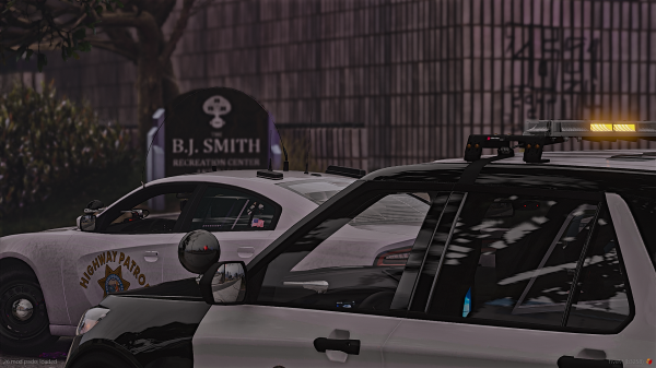 They are almost no different, each has the task of serving and protecting.