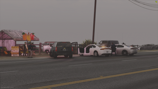 FiveM_GTAProcess 2025-11-02 14-26-30.png