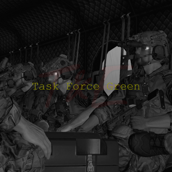 T&E Task Force Green