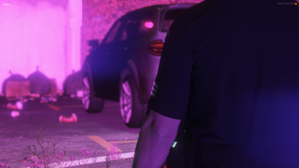 Sergeant at a traffic stop